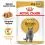 Royal Canin British Shorthair saszetki dla kot&oacute;w brytyjskich kr&oacute;tkowłosych w soku 12 x 85 g