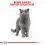 Royal Canin British Shorthair saszetki dla kot&oacute;w brytyjskich kr&oacute;tkowłosych w soku 12 x 85 g