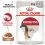 Royal Canin Instinctive Gravy saszetki dla kot&oacute;w w soku 12 x 85 g