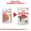 Royal Canin Instinctive Gravy saszetki dla kot&oacute;w w soku 12 x 85 g