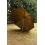 Fox Parasol 60ins Brolly