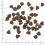 WOLFSBLUT Wide Plain Small Breed 2 kg