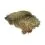 Suszony, naturalny mech - Terrano natural moss