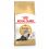 Royal Canin ADULT PERSIAN - 2kg