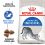 Royal Canin INDOOR 27 - karma dla kotów żyjących w domu 4 kg