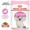 Royal Canin Kitten Instinctive Gravy saszetki dla kociąt w soku 24 x 85 g