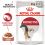 Royal Canin Instinctive Gravy saszetki dla kot&oacute;w w soku 36 x 85 g