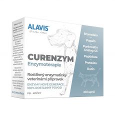 ALAVIS CURENZYM Enzymoterapia 20 tbl.