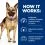 Hill's Prescription Diet Canine GI Biome 10 kg