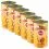 Pedigree konserwa z wołowiną w galarecie 6 x 1200g