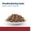 Hill's Prescription Diet Feline i/d AB+ kurczak 12 x 85 g