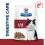 Hill's Prescription Diet Feline i/d AB+ łosoś 12 x 85 g