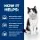 Hill's Prescription Diet Feline i/d AB+ łosoś 12 x 85 g