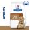 Hill's Prescription Diet Canine j/d 12kg