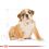 ROYAL CANIN ANGIELSKI BULDOG JUNIOR  - 12 kg