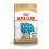 ROYAL CANIN ANGIELSKI BULDOG JUNIOR  - 12 kg
