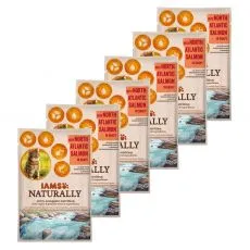 IAMS Naturally Salmon 6 x 85 g