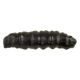 Berkley Gulp! MIÓD ROBAK 3,3cm Black