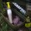 Pudełko Avid Carp Box and Bits Tub — małe