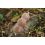 Mivardi PVA Supramesh w tubie 16 mm/7 m