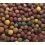 Mivardi Rapid boilies - Multi Mix 2,5kg