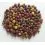 Mivardi Rapid boilies - Multi Mix 2,5kg