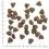WOLFSBLUT Down Under 12,5 kg