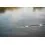 FOX RAGE Wędka Street Fighter Rods Heavy shad 230cm/10-35g