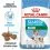 ROYAL CANIN MINI STARTER Mother & Babydog - 8kg