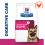 Hill's Prescription Diet Canine GI Biome 2 x 10 kg