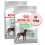 Royal Canin Maxi Digestive Care karma dla dużych psów z wrażliwym układem trawiennym 2 x 12 kg