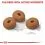 ROYAL CANIN MAXI Light Weight Care 2 x 12 kg