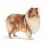 ROYAL CANIN MAXI Light Weight Care 2 x 12 kg