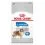 ROYAL CANIN MAXI Light Weight Care 2 x 12 kg