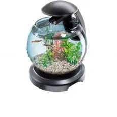 Akwarium kulowe, nano akwarium
