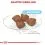 ROYAL CANIN MINI STARTER Mother & Babydog - 1kg