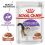 Royal Canin Sterilised Gravy saszetki dla wykastrowanych kot&oacute;w w soku 24 x 85 g