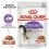 Royal Canin Sterilised Gravy saszetki dla wykastrowanych kot&oacute;w w soku 24 x 85 g