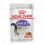 Royal Canin Sterilised Gravy saszetki dla wykastrowanych kot&oacute;w w soku 24 x 85 g