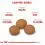 ROYAL CANIN X-SMALL ADULT 8+ 1,5kg