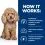 Hill's Prescription Diet Canine Gastrointestinal Biome Mini Chicken 1 kg