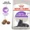 ROYAL CANIN STERILISED +7  3,5 kg