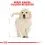 ROYAL CANIN Golden Retriever Puppy - 12kg