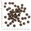 WOLFSBLUT Range Lamb Puppy 2 x 12,5 kg