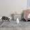 PetSafe Zoom Zabawka laserowa dla kot&oacute;w
