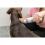 Trixie Trocken Suchy szampon 200 g