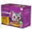 Whiskas saszetki wyb&oacute;r drobiu w galarecie 12 x 85 g