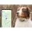 Tractive GPS DOG XL - śledzi lokalizację i aktywność psa - zielony