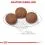 ROYAL CANIN MEDIUM PUPPY 15 kg + 10 saszetek GRATIS