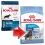 ROYAL CANIN MAXI PUPPY 15 KG + 10 saszetek GRATIS